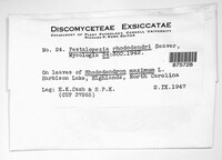 Image Associated With the Occurence